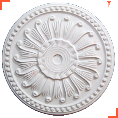 STROPİYER GÖBEK SALYANGOZ 40 cm