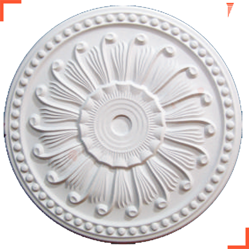 STROPİYER GÖBEK SALYANGOZ 40 cm